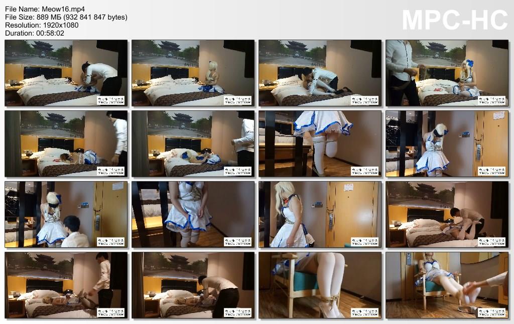 Meow16-25912.jpg