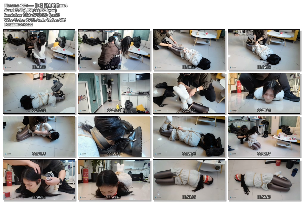 6271----【JS】记者劫难.jpg