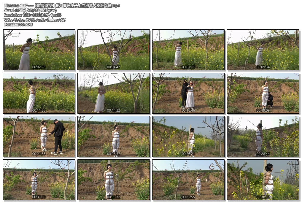 6867----【胜景影视】把M绑在庄子上当稻草人驱赶鸟雀.jpg