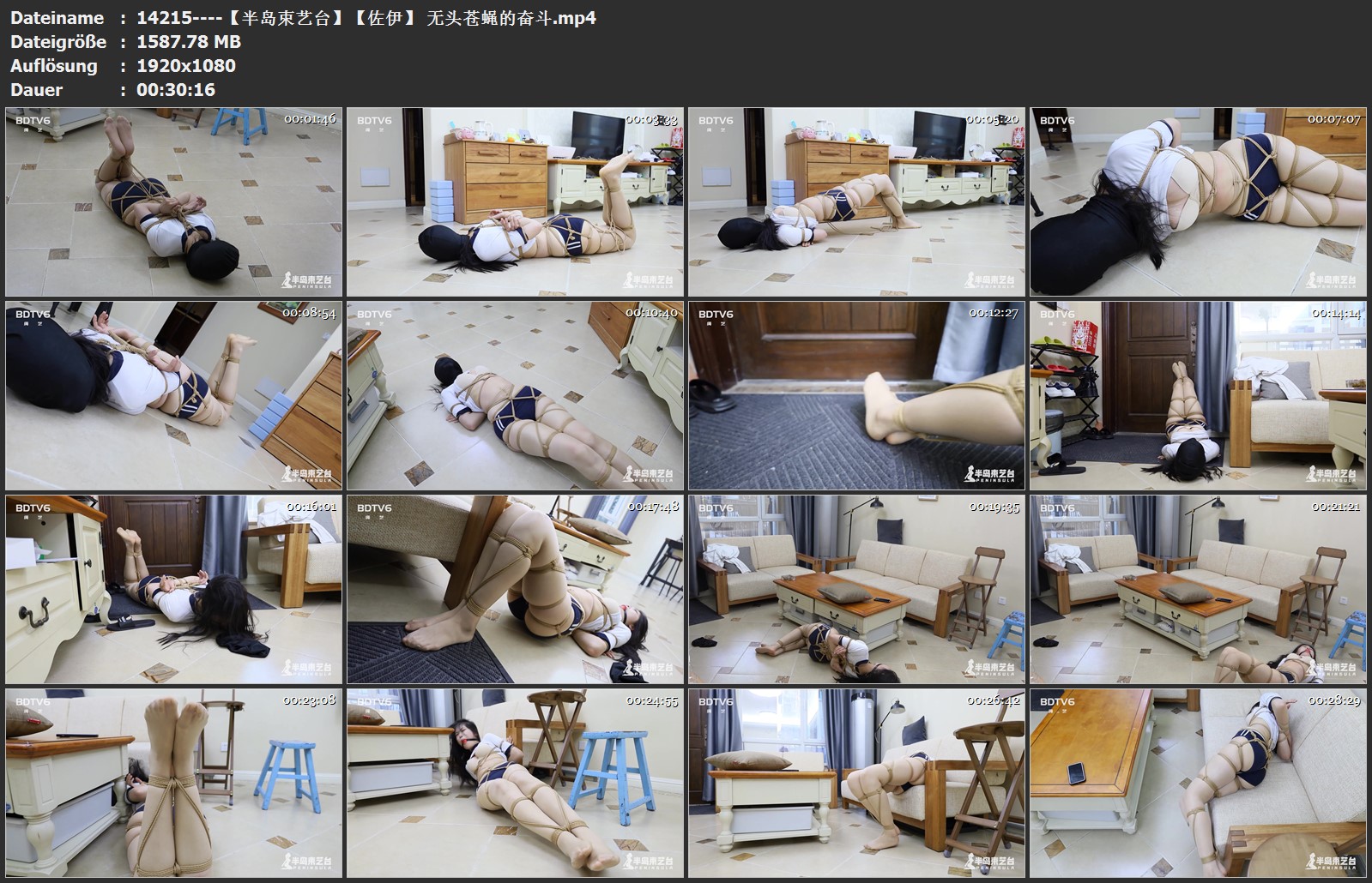 14215----【半岛束艺台】【佐伊】 无头苍蝇的奋斗.jpg