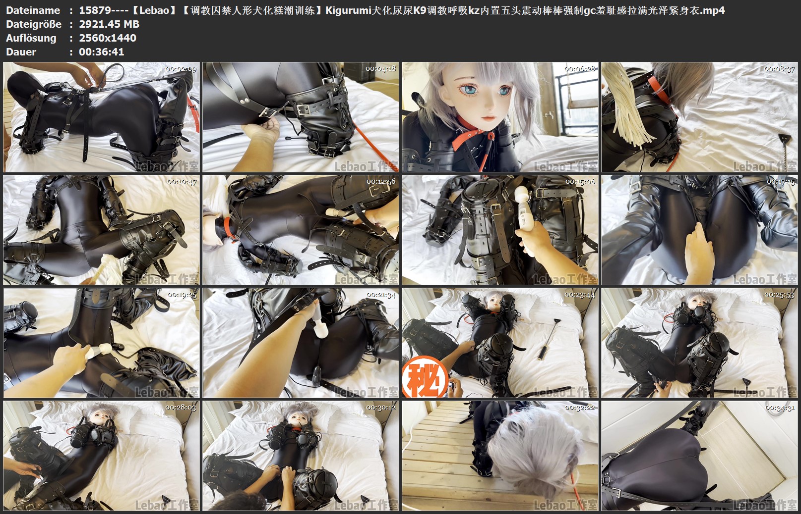 15879----【Lebao】【调教囚禁人形犬化糕潮训练】Kigurumi犬化尿尿K9调教呼吸kz内置五.jpg