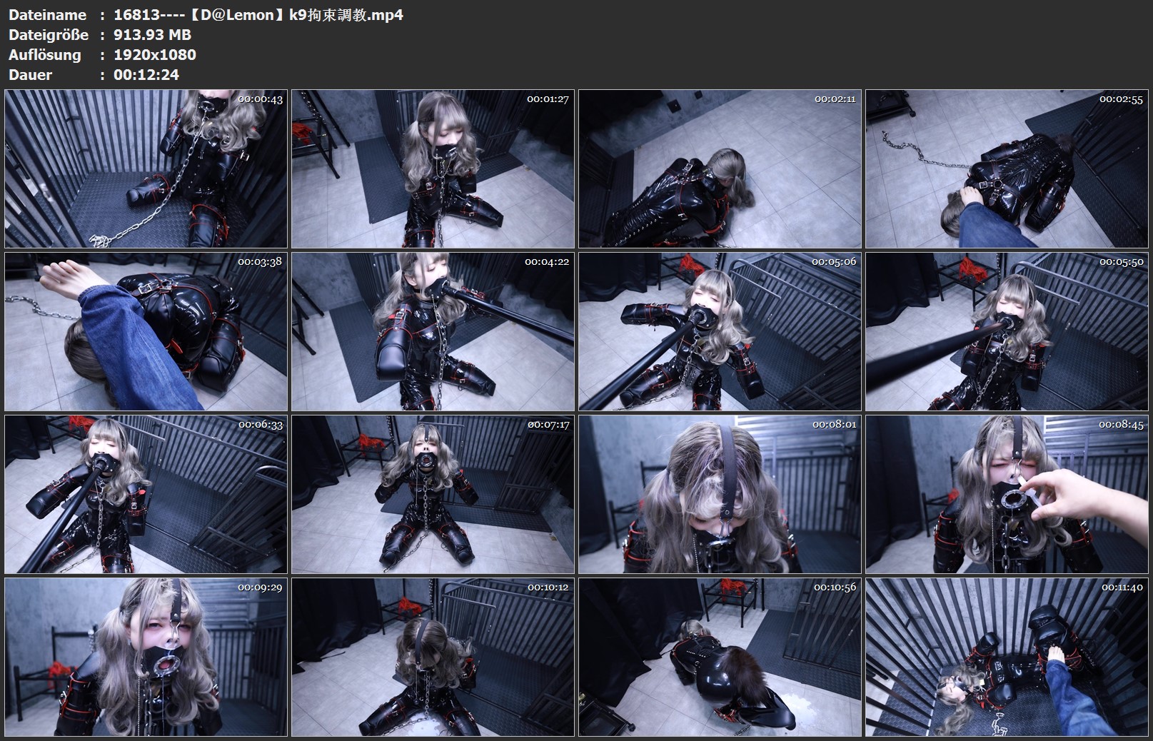 16813----【D＠Lemon】k9拘束調教.jpg