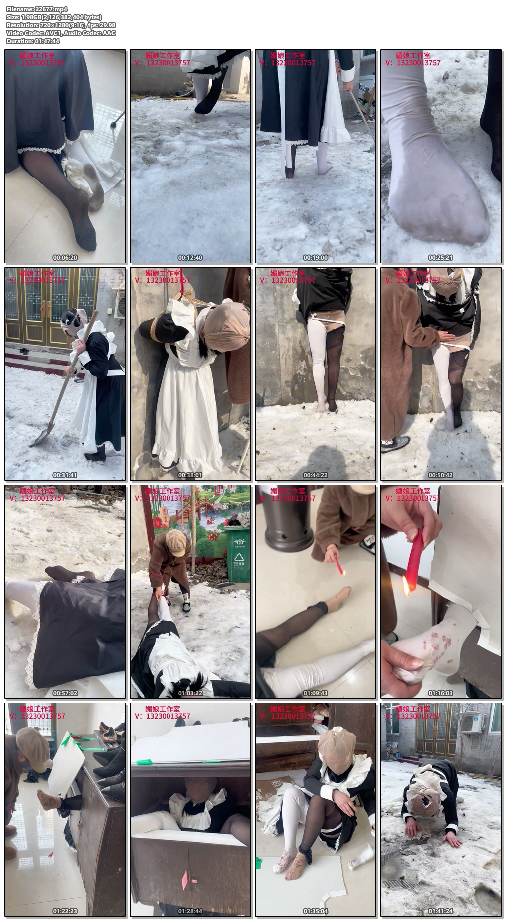 22677----【媚娘工作室】女主如何惩罚奴仆.jpg