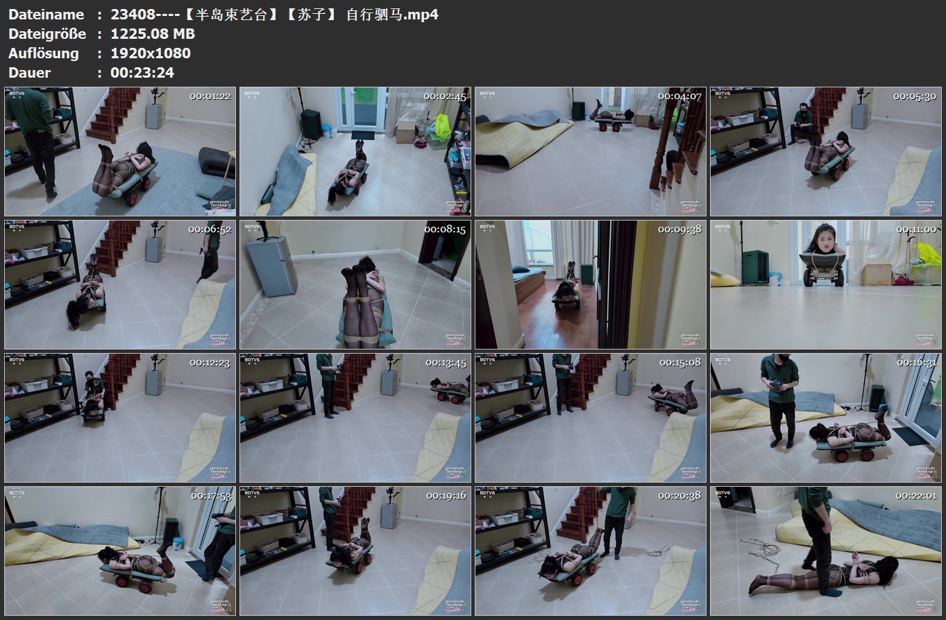 23408----【半岛束艺台】【苏子】 自行驷马.jpg