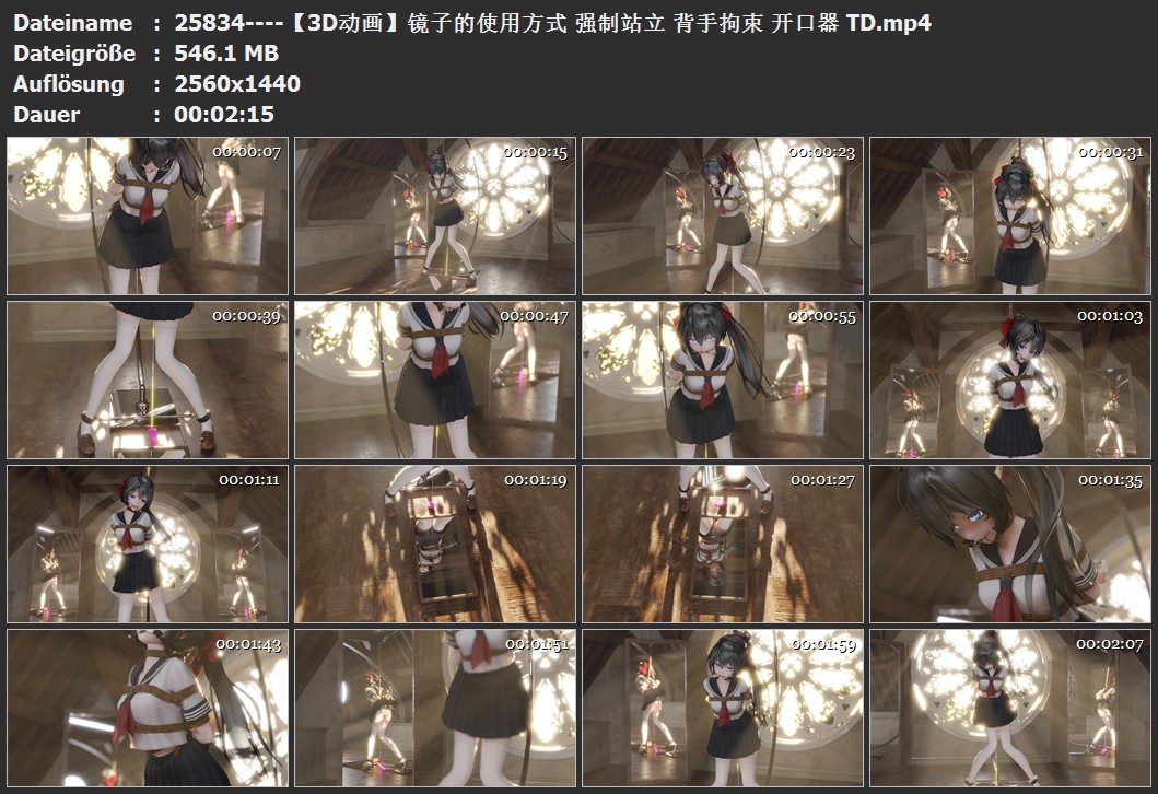 25834----【3D动画】镜子的使用方式 强制站立 背手拘束 开口器 TD.jpg