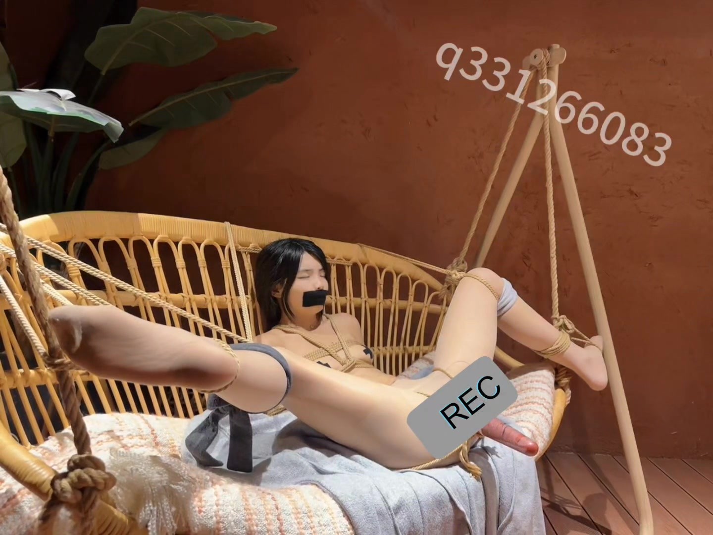 27410----.0010.jpg