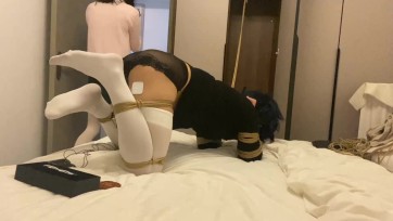 【玖喵ing】橙子被k9玩力竭电击郊狼开到100，控制呼吸视觉语言，三只棒子齐上！