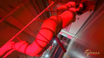 【半岛束艺台】【落叶】Orgasm不分场合